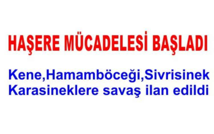 HAŞARELERE SAVAŞA HIZ VERİLDİ