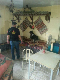 Aşil ve Edim görev başında