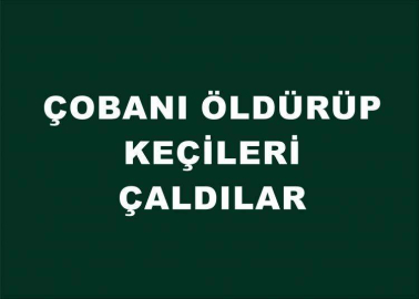 Çobanı öldürüp keçileri çaldılar