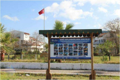 Dikkat Caretta çıkabilir