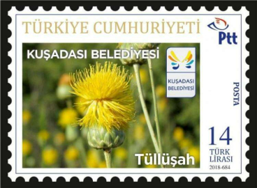 Tüllüşah Pulları hazırlandı