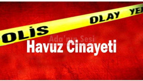 Havuz cinayeti