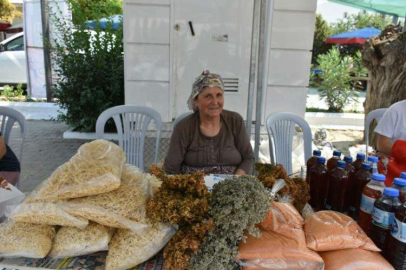 Soğucak Şenliği