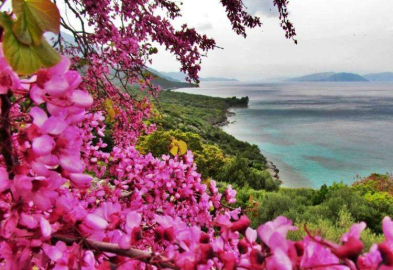 STK’lardan açıklama: Milli Park’la ilgili asılsız, gerçeğe aykırı haberlere itibar etmeyin  