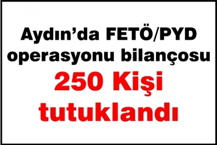 Aydın'da FETÖ'ye yönelik  operasyonlarda  250 tutuklama