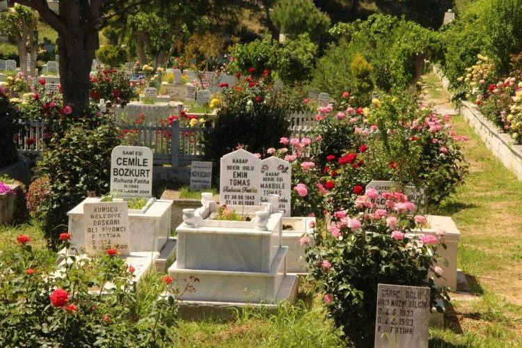 EKODSOD: Mezarlık bakımları ilaçsız olmalı